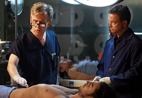Mga resulta ng larawan para sa Robert Joy as Dr. Sid Hammerback CSI: NY"
