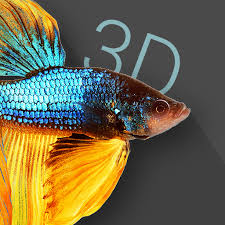 You can also upload and share your favorite 3d live wallpapers. Betta Fish 3d 3d Live Wallpaper Apk 2 0 7 App Download For Android Com Kisionlab Bettafish3d