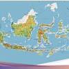 Sebab di indonesia sendiri sudah mulai bertebaran dan mudah ditemui. 1