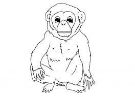 My favorite animal is coloring page. Free Printable Chimpanzee Coloring Pages For Kids Animal Coloring Pages Monkey Coloring Pages Bear Coloring Pages