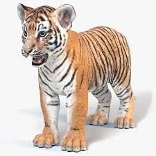 Pin On Tiger 3d Models
