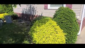 Change of Scenery Landscaping LLC