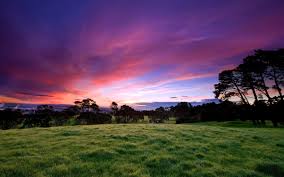 82 cool nature wallpapers images in full hd, 2k and 4k sizes. 2406x1504 Beautiful Pink Morning Cool Nature Wallpapers Hd Nature 2406x1504 Wallpaper Teahub Io
