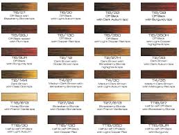 Tattoo Riyani Hair Color Swatches Chart