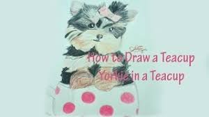 How To Draw A Teacup Yorkie In A Teacup After you finish the basic round head, nose and eyes it's almost impossible to go wrong with the fur (also looks cool longer) yorkies are definitely one of the most cutest pups ever! how to draw a teacup yorkie in a teacup