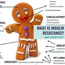 What is the best medication for insulin resistance. What Is Insulin Resistance And Which Is The Best Diet