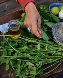 Image result for Oxalis pes-caprae