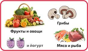 что можно сушить в сушилке для фруктов и овощей Kak Vybrat Sushilku Dlya Ovoshej I Fruktov Obzor Modelej I Tehnologij 2019