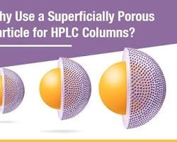 Image of superficially porous particles (SPP) C18 Column