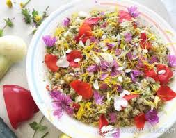 Flowers are an untapped source of nutrients that have. Characteristics And Properties Of Edible Flowers Botanical Online