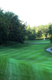 Golf Surrounded By Lush Forests Innsbrook Mo Www Innsbrook Resort Com Golf Courses Golf Scenic Views