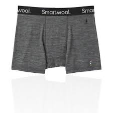 Smartwool Mens Smartwool Merino Sport 150 Boxer Briefs Grey Sports Outdoors Ebay