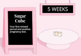 Maybe you would like to learn more about one of these? 5 Weeks Pregnant Ultrasound Symptoms And More Bump Boxes Bump Boxes