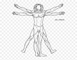 Transparent Vitruvian Man Png Png Download Vhv 10+ vectors, stock photos & psd files. transparent vitruvian man png png