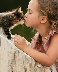 Follow Catcaringclub All Credits To The Owner Dm For Credits Removal Catlover Catlife Catofinstagram Kediler Ve Yavrulari Guzel Kediler Hayvan Bebekler