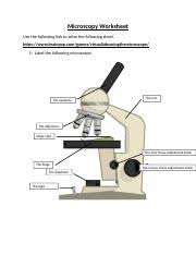 The teacher checks the answers and has the class pronounce the names of the microscope parts. Microscopy Worksheet Microscopy Worksheet Use The Following Link To Solve The Following Sheet Https Www Brainpop Com Games 1 Label The Following Course Hero