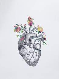 Check spelling or type a new query. Anatomical Heart Flowers Etsy Anatomical Heart Art Heart Drawing Anatomical Heart Drawing
