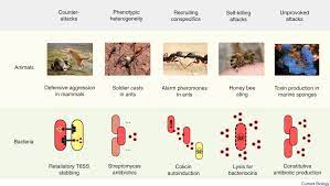 It contains an inner membrane, resembling the 'skin' or membrane of an animal cell, in that it is a typical the labelled version of the diagram, followed by a key, is shown below. The Evolution And Ecology Of Bacterial Warfare Sciencedirect