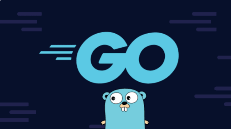 Getting Started with Go: A Quick Guide. - DEV Community