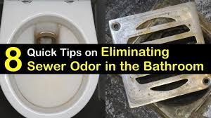 How To Get Rid Of Sewer Smell In The Bathroom 8 Quick Tips On Sewer Gas Smell Sewer Smell In Bathroom Smelly Drain