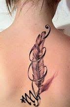 Bildergebnis Fur Tattoo Skorpion Mit Rose Feder Tattoo Skorpion Tattoos Feder Tattoo Bedeutung