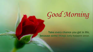Good morning images with flowers hd wallpapers we hope you enjoy these good morning beautiful images, you can share these wallpapers and photos with your beloved ones or on social networking like facebook, instagram, pinterest and tumblr. Good Morning Rose Flower 1920x1080 Wallpaper Teahub Io