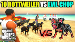 Check spelling or type a new query. Download Gta 5 Franklin Pitbull Dog Vs Balas Gang Rottweiler Dog Big Fight In Gta V Agresive Fight Mp4 Mp3 3gp Naijagreenmovies Fzmovies Netnaija