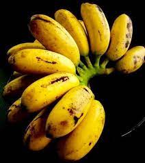 Pisang ambon merupakan salah satu jenis pisang yang paling mudah dan banyak ditemui di indonesia. 10 Jenis Pisang Yang Wajib Anda Ketahui Rugi Tak Baca Saji My