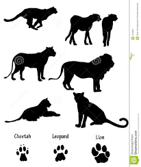 African Cats Illustrated Silhouettes African Cats Zoo Animal Painting African Animals