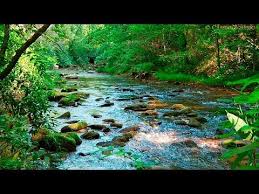 El Sonido Del Silencio Flauta De Pan Música Instrumental Mp3 Sonido De Agua Y Pajaros Estudiar Meditar Mente En Blanco Pensar Sonidos Relajantes Youtube Meditation Music Relaxing Music Deep Sleep Music