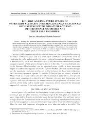 Image result for Oxyrhachis