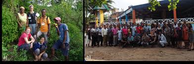 Image result for Aeschynomene heurckeana