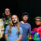 The Motet