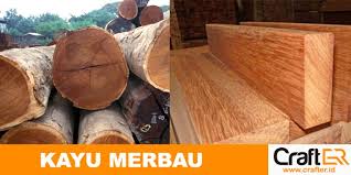 Find how to use tongkat ali. Mengenal Kayu Merbau Kegunaan Dan Harga Pasar Kayu Merbau Inovasi Dunia Konstruksi Dan Bangunan Terkini