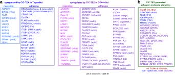 Get free mol point code now and use mol point code immediately to get % off or $ off or free shipping. Pancreatic Cancer Initiating Cell Exosome Message Transfer Into Noncancer Initiating Cells The Importance Of Cd44v6 In Reprogramming Journal Of Experimental Clinical Cancer Research Full Text