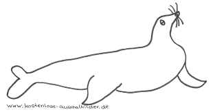 Kostenlose Ausmalbilder Ausmalbild Seerobbe