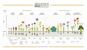 Bulb Planting Guide Garden Design Ideas