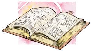 images?q=tbn:ANd9GcSDNFE9CVcZbO6h7EedfrM