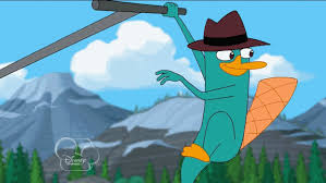 We did not find results for: Platypus Gif Find On Gifer