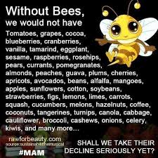 Birds Do It Bees Do It Song Lyrics What Can We Do To Stop Pesticides Without The Honey Bee We Would Lose 80 Of Our Food Supply As They Cross Pollinate Save The Bees Bee Bee Facts