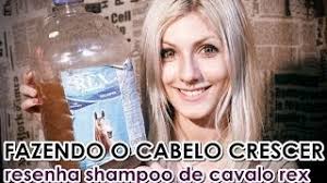 Shampoo de Cavalo Para os Cabelos