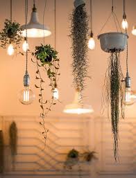 pflanzen einfach aufhangen 6 stilvolle diy ideen hang plants from ceiling vintage bulb filament bulb lighting