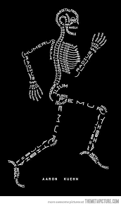 Urbita I Love This Place Anatomy Bones Nurse Nursing School