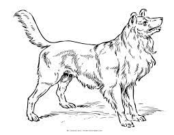 Realistic puppy coloring pages are a fun way for kids of all ages to develop creativity focus motor skills and color recognition. Realistic Puppy Colouring Pages Novocom Top