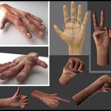 While most of these assets are made by and for blender, the models can also be used in other 3d applications too. Rigged Hands Download Free 3d Models