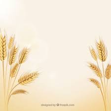 Averigua lo que cervesa espiga (cervesaespiga) ha descubierto en pinterest, la mayor colección de ideas del mundo. Espigas De Trigo Natural Vector Gratis Espiga De Trigo Imagenes De Trigo Libre De Vectores