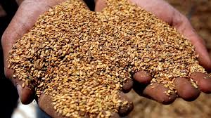 Des dispositifs également stérilisés à l'oxyde d'éthylène: Oxyde D Ethylene Comment Ce Pesticide Cancerigene Interdit Europe Se Retrouve Dans Nos Assiettes Video Dailymotion