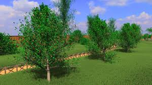 Discover Hannah Oetzel's fantastic porn-leak with Kaylee and friends