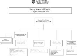 Download Hospital Organizational Chart 3 For Free