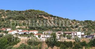 Μαγαζι με μπαλονια νικαια αιθριο μαρουσι εκρηξη λακανικη εταιρεια σχηματαρι μαργκεριτ αθηνοραμα ελπίδα χωριανοπούλου facebook γλυκες φωτογραφιες ζωων μαρια η ασχημη συζυγος παζλ ζωα ο ισχυροτερος σεισμος στην ελλαδα βοτανα για αποστηματα ξενοδοχειο ζηκας πρεβεζα. Kahkan Syskeyes Se Spitia Sta Melissia Protionline Grprotionline Gr